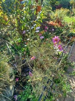 Edina Vendégház241