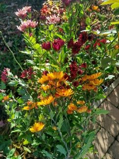 Edina Vendégház242