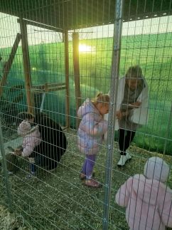 Edina Vendégház244