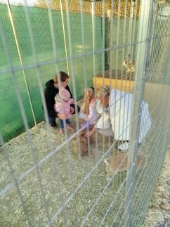 Edina Vendégház246