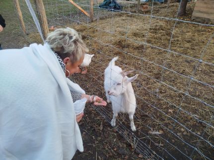 Edina Vendégház250