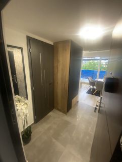 Lake View Penthouse9
