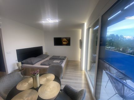 Lake View Penthouse11