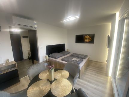Lake View Penthouse13