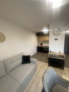 Lake View Penthouse16