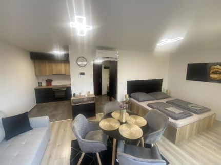 Lake View Penthouse21