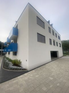 Lake View Penthouse7
