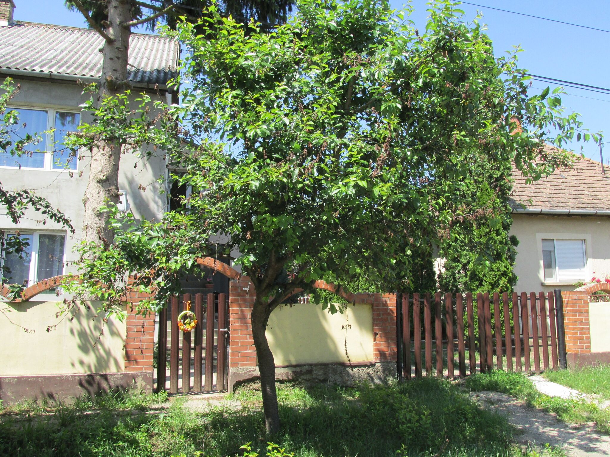 Mn Apartman – Magyarnándor fotó 19