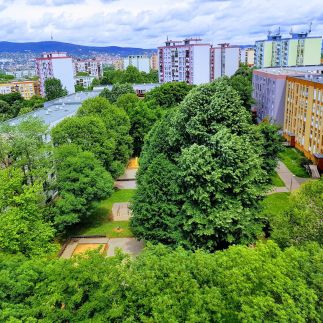 Coral Apartman Pécs3