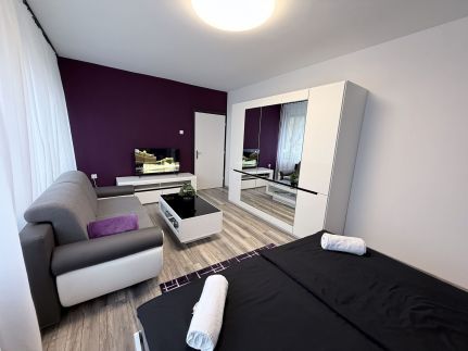 Cosmopolitan Apartman22