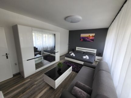 Cosmopolitan Apartman1