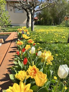 Négy Évszak Vendégház26