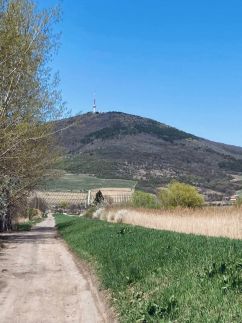 Megnyugtat-LAK Vendégház10