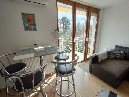 ReNiCa Wellness Apartman14