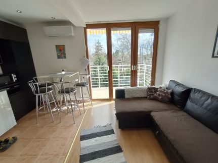 ReNiCa Wellness Apartman3
