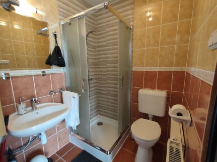 ReNiCa Wellness Apartman4