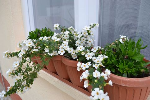 Édes Otthon Apartmanház9
