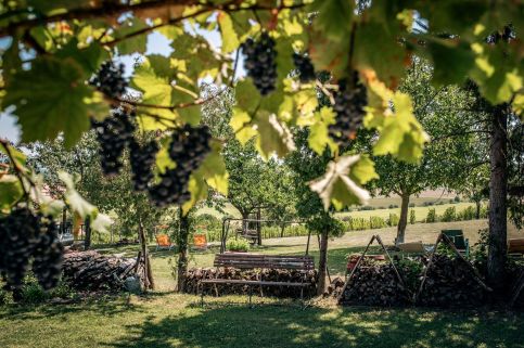 Varsádi Vendégház és Borbirtok11