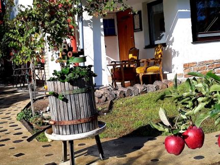 Varsádi Vendégház és Borbirtok12