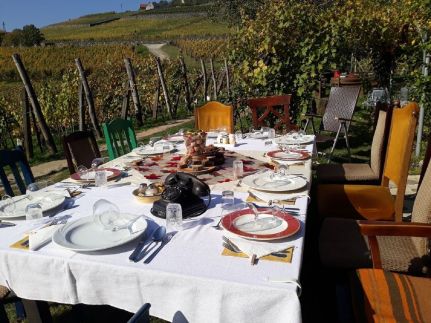 Varsádi Vendégház és Borbirtok13