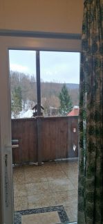 Üvegműves Apartman17