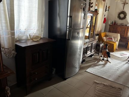 Németh Pincészet12