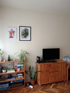 Green Apartman1