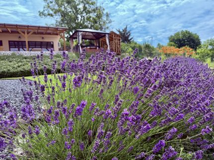 Akar-Lak Vendégház7