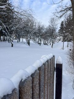 Almás Tanya Vendégház11