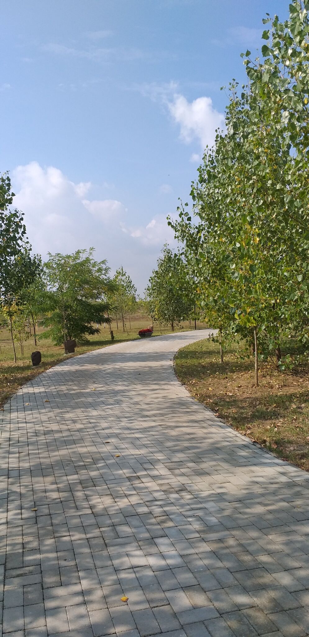 Modern Művész Szállás & Pihenőpark – Gyömrő fotó 4