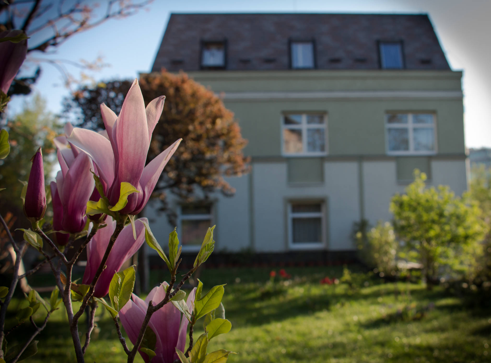 Jagello Business Hotel – Budapest XII. kerület fotó 38
