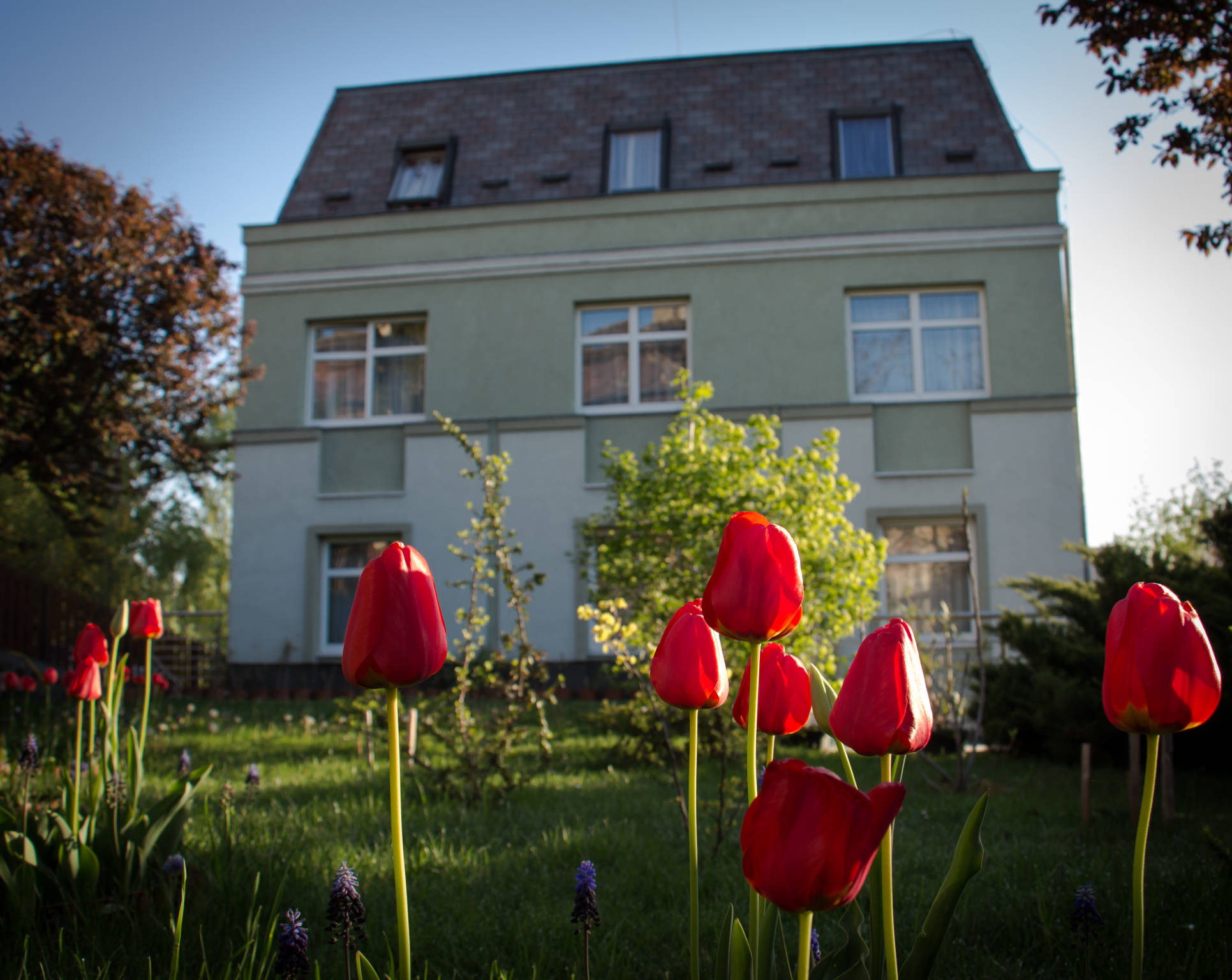 Jagello Business Hotel – Budapest XII. kerület fotó 40