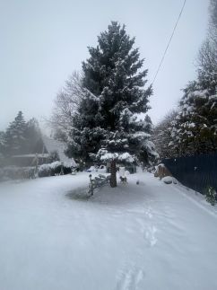 Icuka Vendégháza153