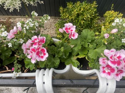 Icuka Vendégháza279