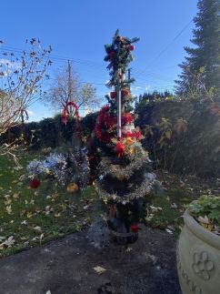 Icuka Vendégháza109