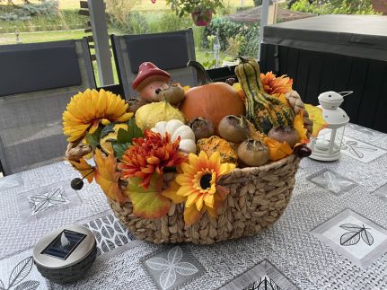 Icuka Vendégháza357