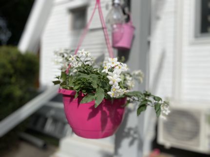 Icuka Vendégháza318