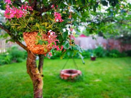 Mazsola Vendégház27