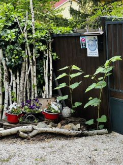 Blue Bird Tiny House&Garden84