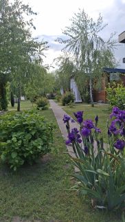 Timber Home Apartmanok22