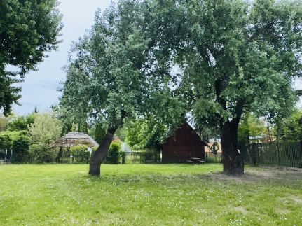 Nyárfás Apartman15