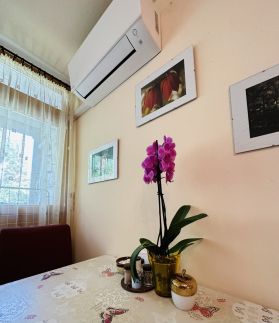Nyárfás Apartman20