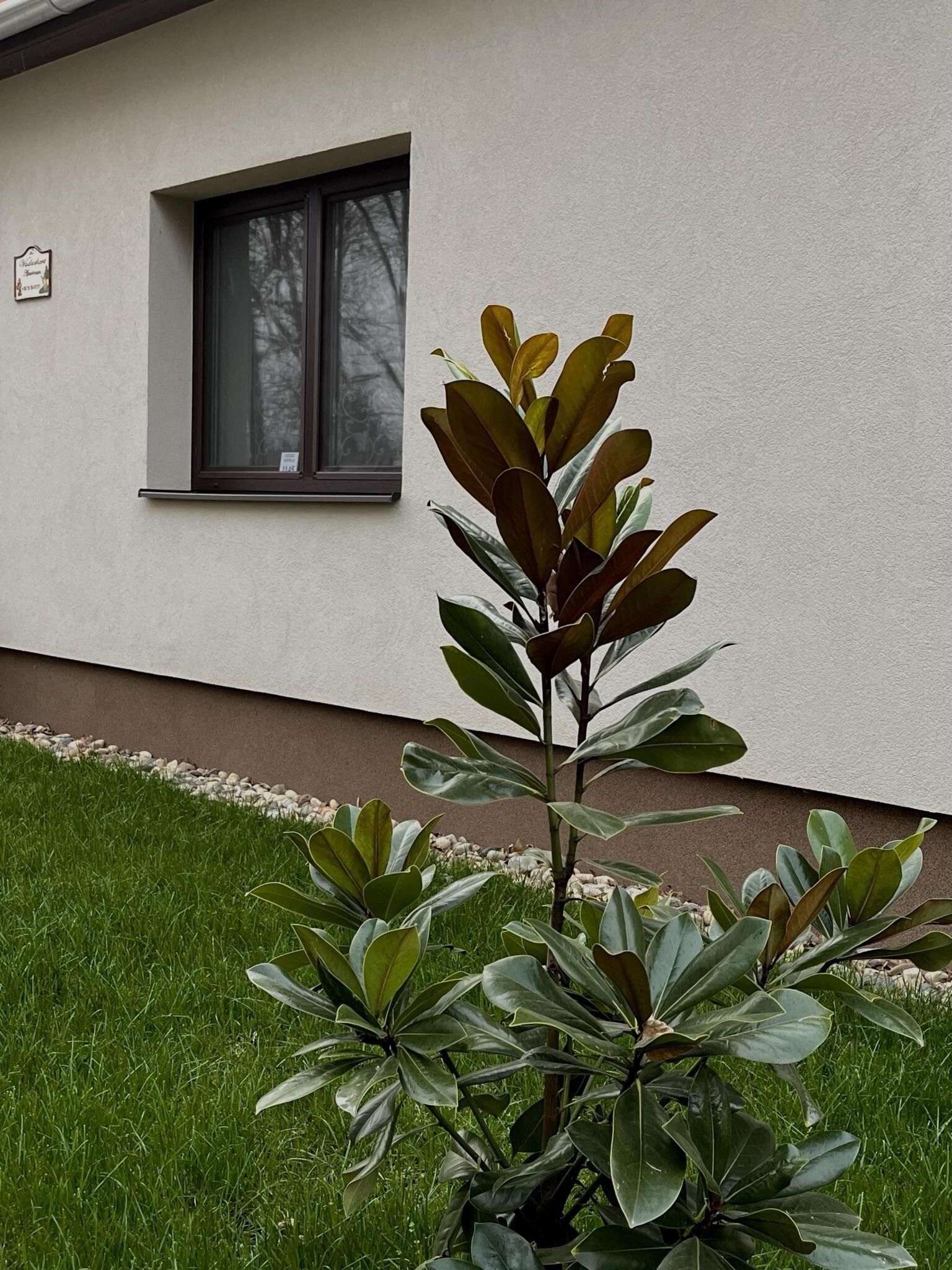 Vadaskert Apartman – Gyula fotó 37