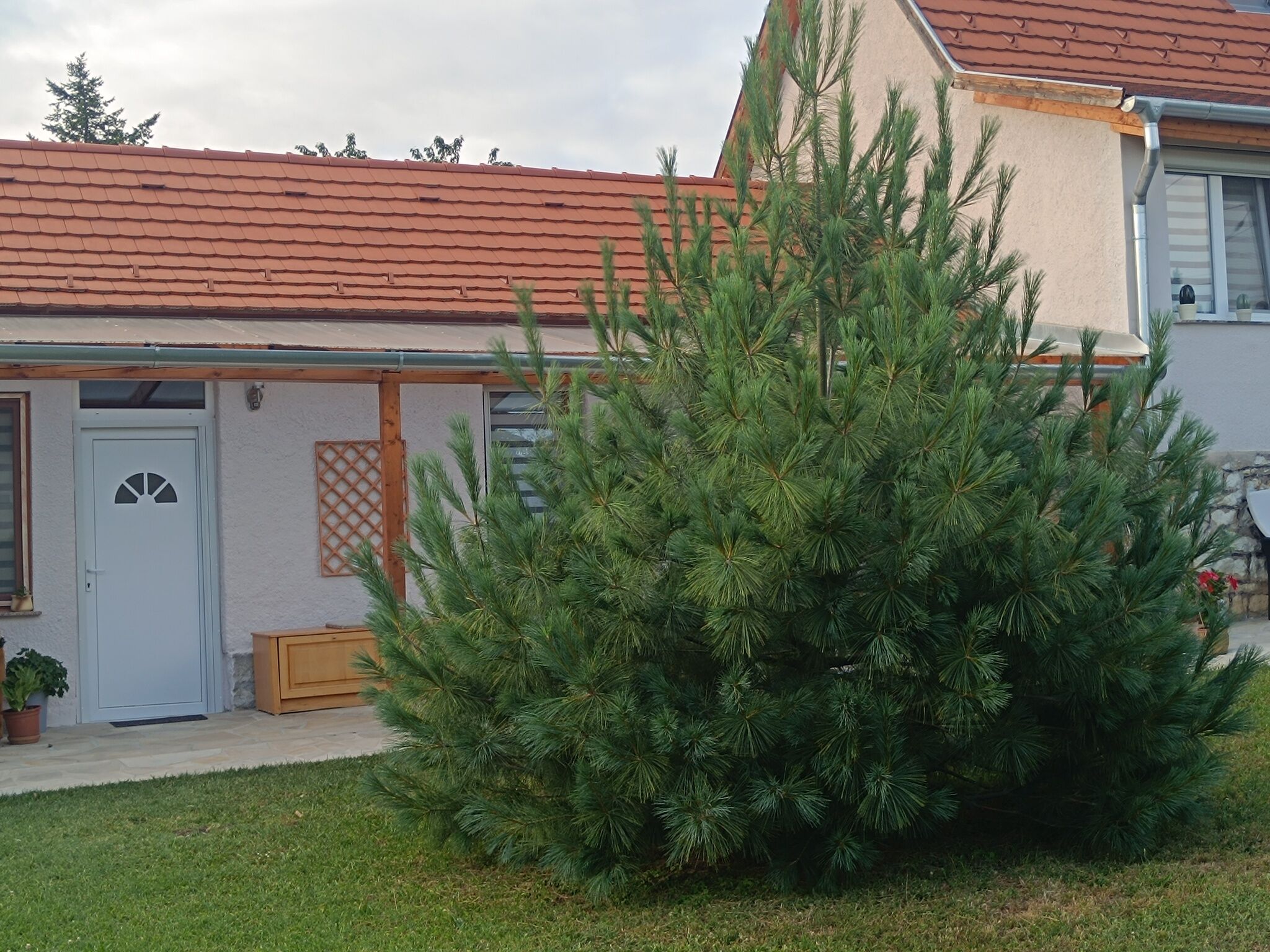 Selyemfenyő Apartman – Balatonfüred fotó 21