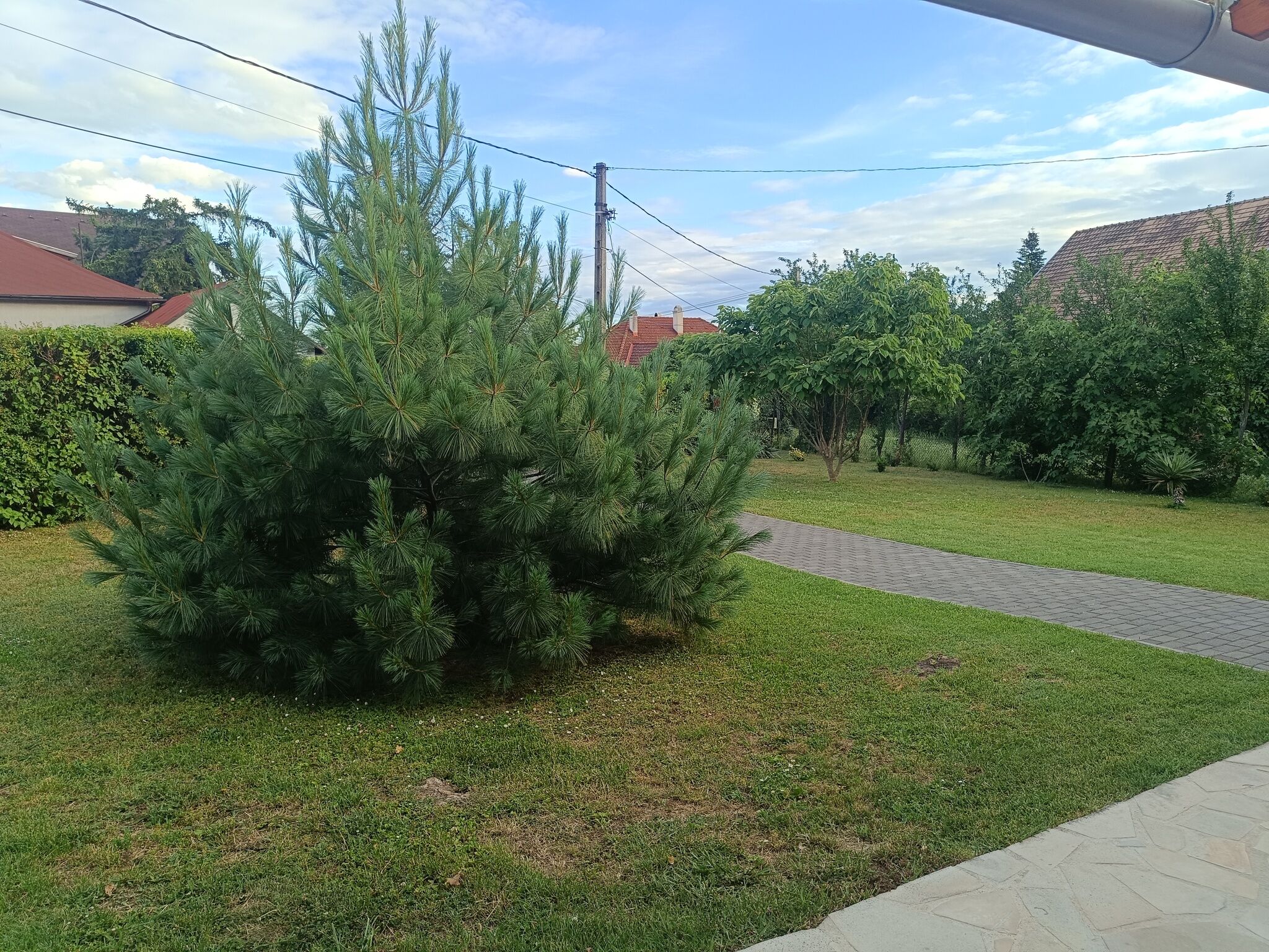 Selyemfenyő Apartman – Balatonfüred fotó 22
