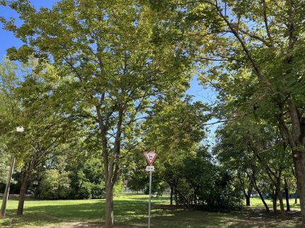 Major-Liget Apartman18