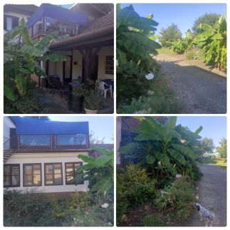 Kék Vándor Vendégház64