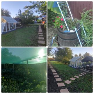 Kék Vándor Vendégház67