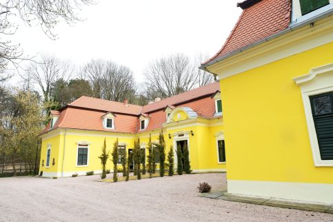 Pluto Lovas Vendégház9