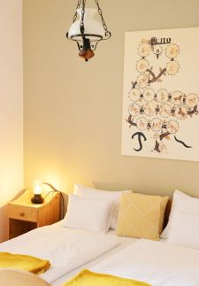 Pluto Lovas Vendégház7